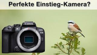 Canon R10 Review - Die perfekte Einsteiger-Kamera?