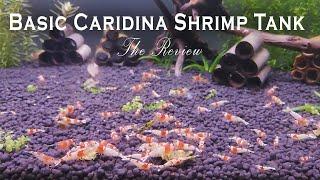 Basic Caridina Shrimp Tank  - The Review