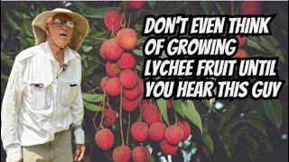 Don't Grow Lychee Fruit Until You See This Video