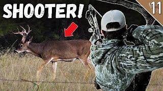 SHOOTER BUCK on the First Hunt?! (Greg's BEST Wildlife Footage Ever?!)