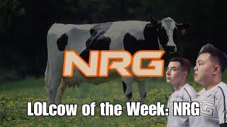 LOLcow of the Week: NRG feat. Me