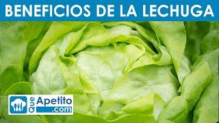 8 Propiedades y Beneficios de la Lechuga | QueApetito