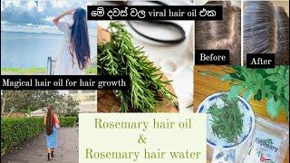 මේ දවස් වල හැමෝම හොයන viral hair oil එක මෙන්න | Rosemary hair oil | මේකනම් මැජික් තෙලක් #trending