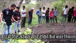 कोबरा सांप को कुएं से बाहर निकाला, देखिये ये पूरा वीडियो | Rescue indian cobra snake from Ahmednagar