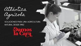 Atlántica Agrícola - Empresa Familiar | DAMOS LA CARA