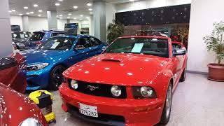 Oasis Qatar cars showroom