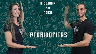 Botânica para o Enem - Aula de Pteridófitas  - Reino Plantae  - Botânica