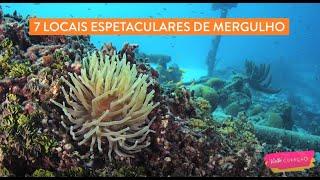 7 locais espetaculares de mergulho em Curaçao | Guia de viagem da Ilha de Curaçao