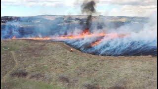 Albion Hills Prescribed Burn - April 2024