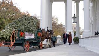 President Trump and the First Lady Receive the 2018 White House Christmas Tree