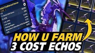 HOW YOU FARM 3 COST ECHOES EFFECTIVELY IN WUTHERING WAVES!!