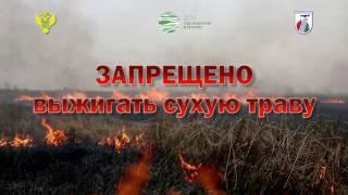 Берегите лес от пожара