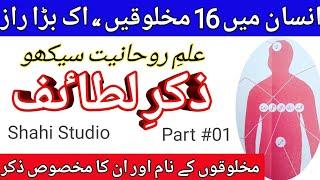 Zikar e Lataif | Insan Main 16 Makhloken un ka Zikar | Shahi Studio | Supiritualism