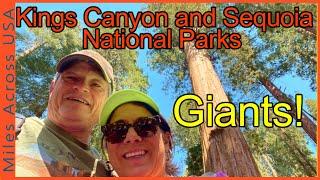 Kings Canyon and Sequoia National Parks - Giants