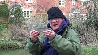 EASY FISHING.Ledgering with Bread on a Small River