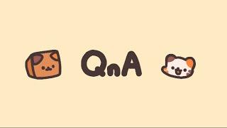 QnA