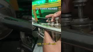 El toro mambo #tutorial #solotrompeta #bandamm