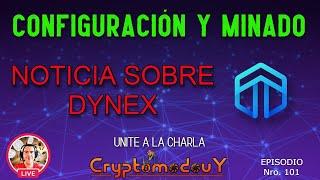 CONFIGURACIÓN Y MINADO ( conociendo el proyecto DYNEX )