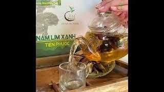 Nấm lim xanh - Một dược liệu thiên nhiên quý giá với nhiều công dụng tuyệt vời