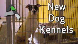 New Dog Kennels