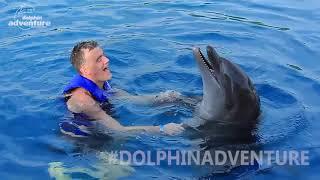 SWIMMING WITH DOLPHINS IN MEXICO  #DOLPHINADVENTURES