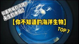 【科普视频】I 那些我们不知道的海洋生物 TOP 7