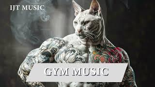 Gym Music Best Popular House Lax Mix 2024  - DJ MUSIC 2024