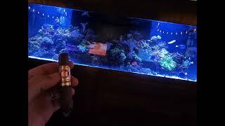 #asmr Cigar Smoking at the Diamond Crown Private Lounge #notalking #pov #cigarsmoker #cigarshow