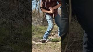 Green wood short bow, part 2 #survival #archery #outdoorskills #primitiveskills #bushcraft