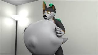 furry vore wolf + dijestion