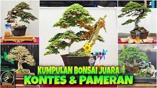 INSPIRASI & KUMPULAN BONSAI JUARA KONTES & PAMERAN BONSAI # BONSAI TERBAIK KONTES INDONESIA #