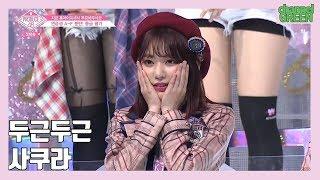 [IZ*ONE 아이즈원] 실전 압축 사쿠라듀스 # 1