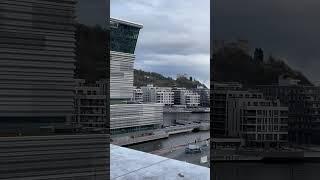 Чайка и странная фигура женщины Осло Норвегия