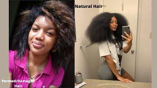 How I Transitioned to Natural Hair | Mocurlsss