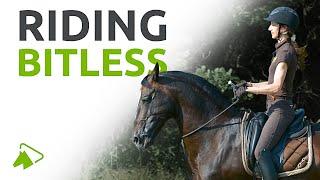 How to Ride Your Horse Bitless? Learn with Alizee Froment | wehorse