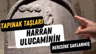 Tapınak taşları Harran Ulucami’nin neresine saklanmış ￼?