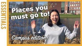 My 5 favourite spots on campus! What are yours? | WURtube