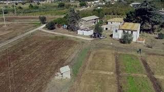 CERESiS project: Drone footage of the Italian trial on phytoremediation biomasses