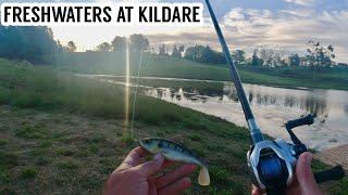 BIG BASS can’t Resist This BIG SWIMBAIT! Best Fishing Venue - Freshwaters at Kildare