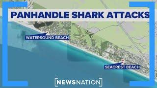 Multiple shark attacks reported in Florida panhandle | Morning in America