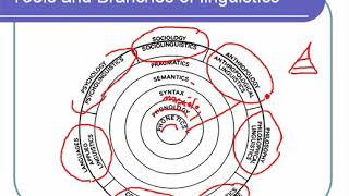 Tools and branches of linguistics