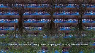 Tamas Waliczky | Tsim Sha Tsui Seaside Trees | 2021 | demo