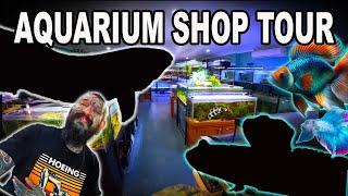 Aquarium Store Tour ~ Paul's Aquariums Brisbane ~ Mudskippers + 1000's of Tropical Fish!