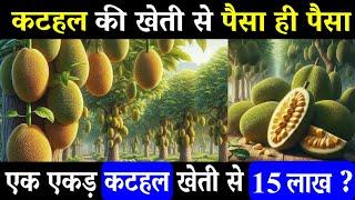 कटहल की खेती से कमाए लाखों | Kathal Ki Kheti Kaise Karen | Jackfruit Farming in India