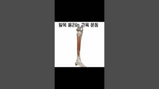 발목올리기운동#올바른재활운동 #뇌졸중재활운동 #shotrs#방문재활