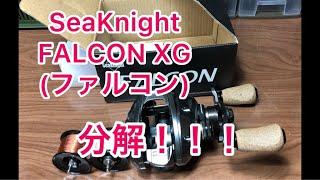 激安ベイトリール SeaKnight  FALCON(ファルコン)分解！！