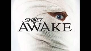 Skillet - Hero