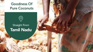 Making of Wood-pressed Coconut Oil | Pure & Natural | Anveshan