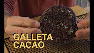 GALLETAS DE CACAO HECHAS EN CASA | COOKIES | HORNO CASERO | MANTEQUILLA  | CACAO EN POLVO  |