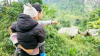 A single mother's warm home in the forest during the last days of the year filled with joy